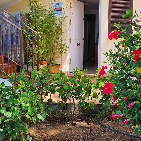 Exotic Garden 2 Bedroom Flat Marbella
