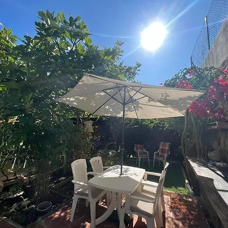 Apartment Exotic Garden 2 Bedroom Flat
