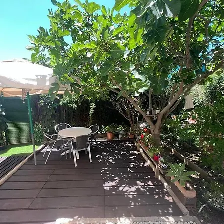 Apartment Exotic Garden 2 Bedroom Flat